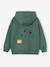 Pikachu hooded sweatshirt for boys green 