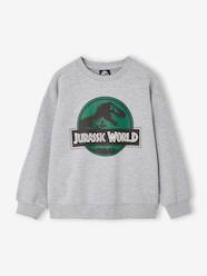 -Sweatshirt Jurassic World for boys