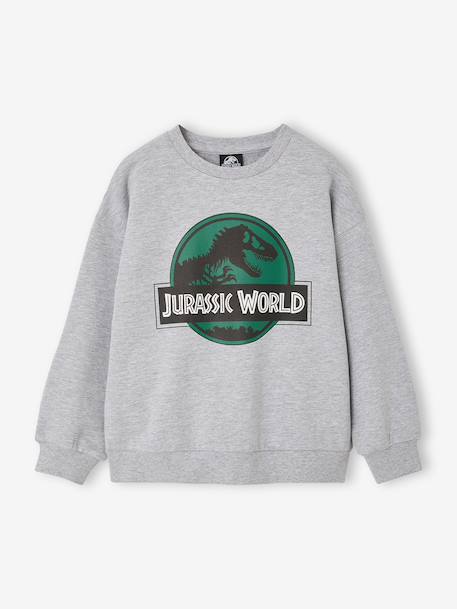 Sweatshirt Jurassic World for boys marl grey 