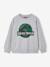 Sweatshirt Jurassic World for boys marl grey 
