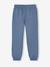 Joggers for boys bordeaux red+denim blue+fir green 