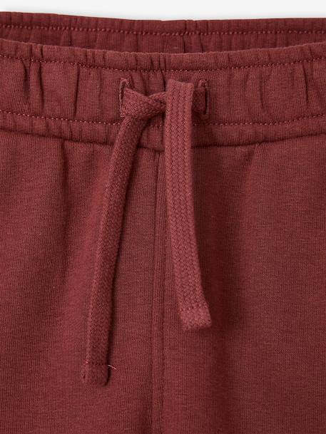 Joggers for boys bordeaux red+denim blue+fir green 