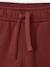 Joggers for boys bordeaux red+denim blue+fir green 