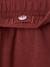 Joggers for boys bordeaux red+denim blue+fir green 