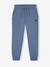 Joggers for boys bordeaux red+denim blue+fir green 