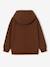 Hoodie for boys by Minecraft chocolate 
