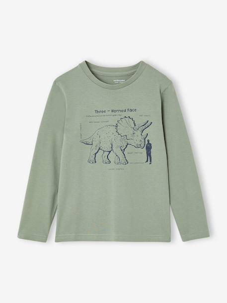 Pack of 3 long-sleeved T-shirts for boys caramel+lilac+rust+sage green 