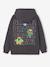 Hooded Brawl Stars sweatshirt for boys anthracite 