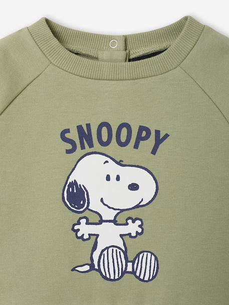 Sweatshirt Snoopy for baby khaki 