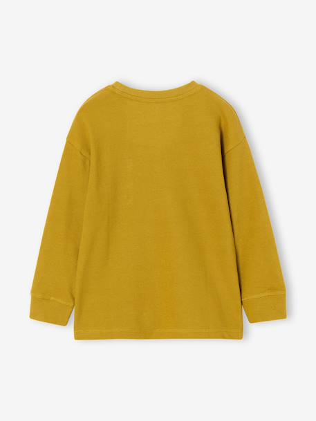 Long-sleeved T-shirt for boys olive 