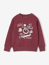 -Sweatshirt with front print for boys