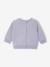 Sweatshirt for newborn sky blue 