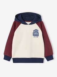 Boys-Hooded sweatshirt for boys