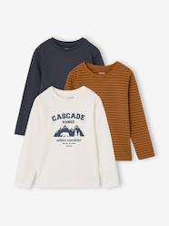 -Pack of 3 long-sleeved T-shirts for boys