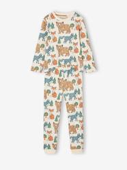 Boys-2-piece long-sleeved pyjamas for boys