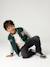 Teddy sweatshirt for boys fir green+navy blue 