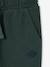 Joggers for boys bordeaux red+denim blue+fir green 