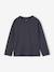 Pack of 3 long-sleeved T-shirts for boys green+royal blue 