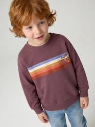 Boys-Crew neck sweatshirt for boys