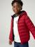 Light Padded Jacket with Hood for Boys black+bordeaux red+emerald green+grey blue+hazel+medium blue+navy blue+olive+pecan nut+red 