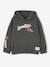 Hooded sweatshirt with long sleeves for boys lichen 