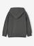 Hooded sweatshirt with long sleeves for boys lichen 