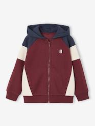 Boys-Zipped hooded sweatshirt for boys with colour block design