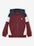 Zipped hooded sweatshirt for boys with colour block design bordeaux red+green+marl grey+medium blue+ochre 