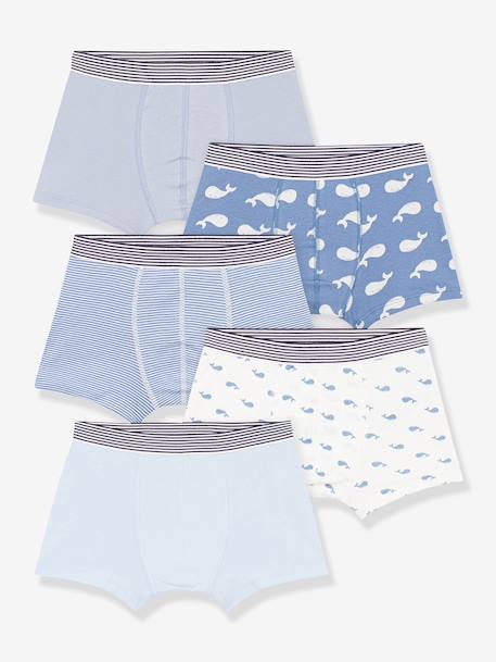 Pack of 5 boxers for kids by PETIT BATEAU blue 
