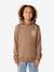 RIP CURL Search Icon hooded sweatshirt brown 
