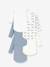 Pack of 5 long-sleeved bodysuits by PETIT BATEAU blue 