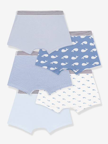 Pack of 5 boxers for kids by PETIT BATEAU blue 