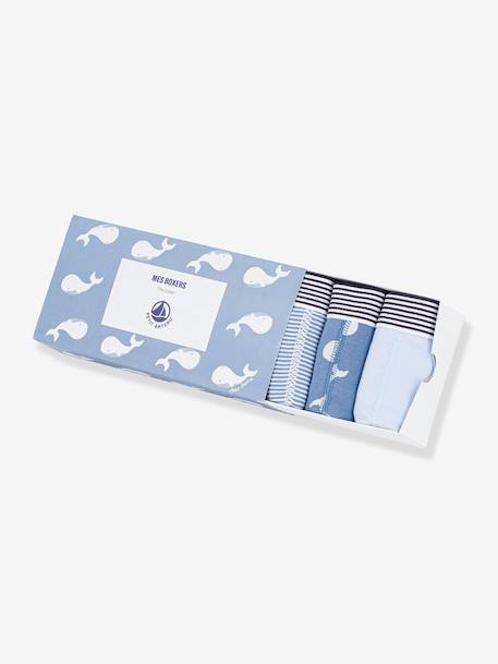 Pack of 5 boxers for kids by PETIT BATEAU blue 