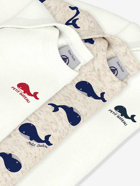 Pack of 3 long-sleeved bodysuits by PETIT BATEAU white 