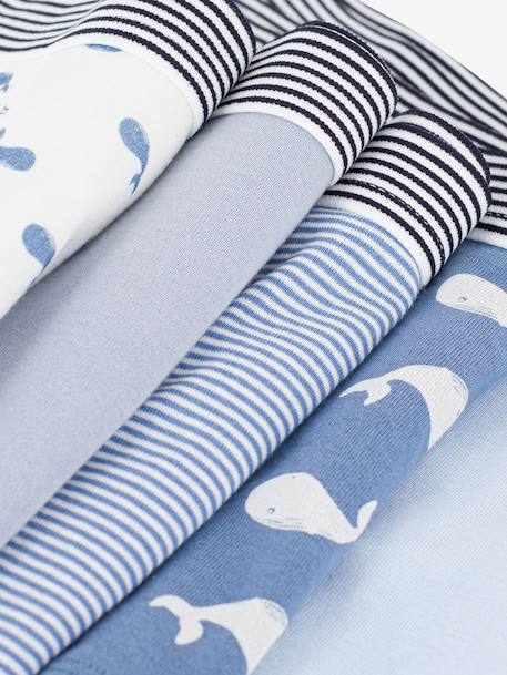 Pack of 5 boxers for kids by PETIT BATEAU blue 