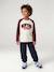 Jogging bottoms for boys beige+fir green+navy blue 
