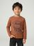 Long-sleeved T-shirt for boys anthracite+cappuccino+red+sage green+white 