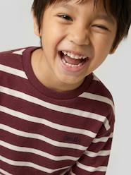 -Striped Long-Sleeved T-Shirt for Boys