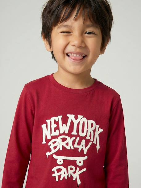 Long-sleeved T-shirt for boys anthracite+cappuccino+red+sage green+white 