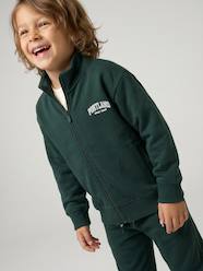 Boys-Zipped sweatshirt for boys with a trucker neck