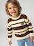 Jumper for boys hazel+navy blue 