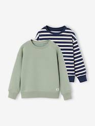 Boys-Pack of 2 crew neck sweatshirts for boys