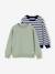 Pack of 2 crew neck sweatshirts for boys sage green 