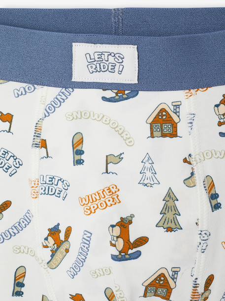 Pack of 5 boxer shorts for boys denim blue 