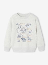 -Sweatshirt with front print for boys