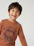 Long-sleeved T-shirt for boys anthracite+cappuccino+red+sage green+white 