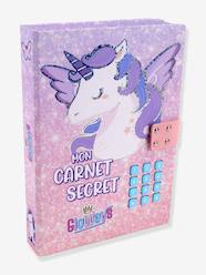 Toys-Electronic secret diary