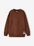 Pack of 2 sweatshirts for boys hazel 