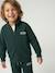 Zipped sweatshirt for boys with a trucker neck fir green+navy blue+red 