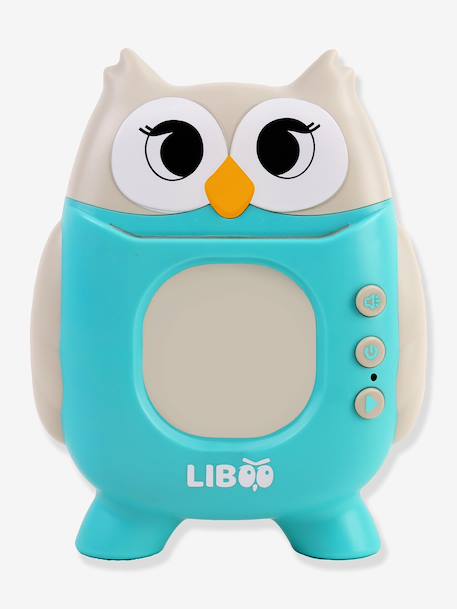 Liboo learning reader by J.A.D.E blue 